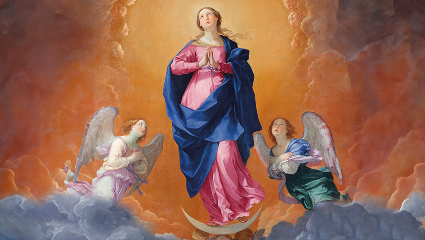 Immacolata Concezione della beata vergine Maria